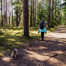 Kvinde går tur med hund i snor i en skov