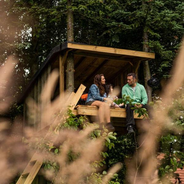 Gæster i holmlelys treetop shelther