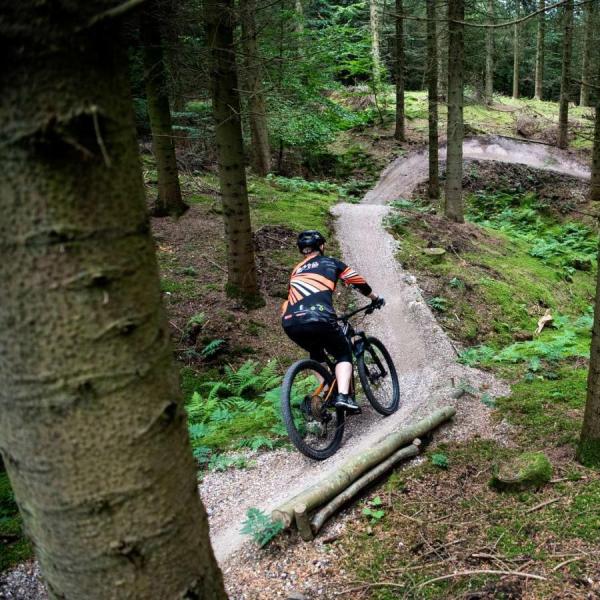 Mand kører mountainbike på sporet i Bjerre Skov