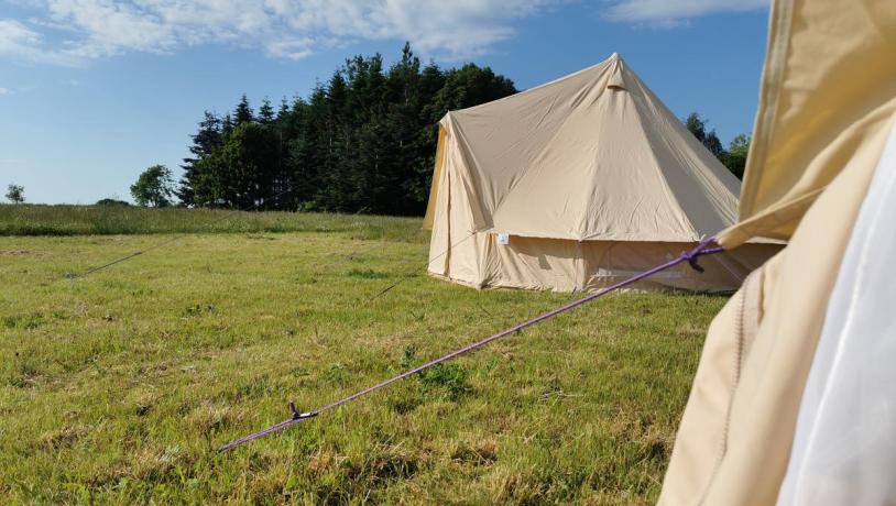 Glamping telte hos Holmely