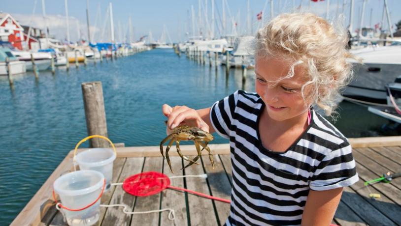 Pige fanger krabber på havnen i Juelsminde