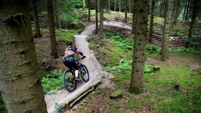 Bjerre Skov Mountainbikesporet