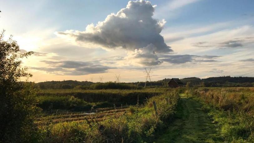 Nørrestrand naturområde i Horsens