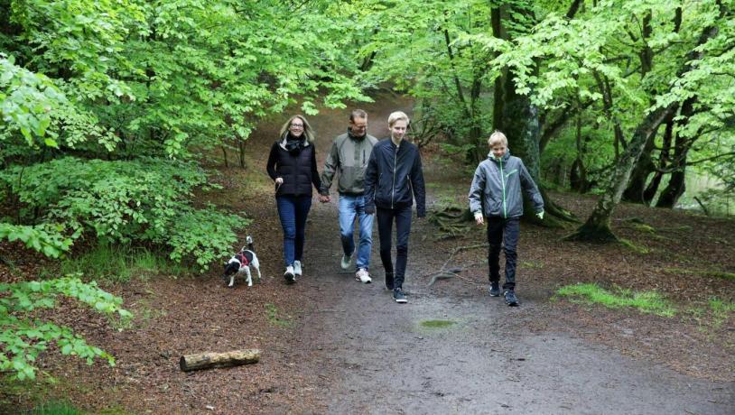 Familie går tur med hund i skoven