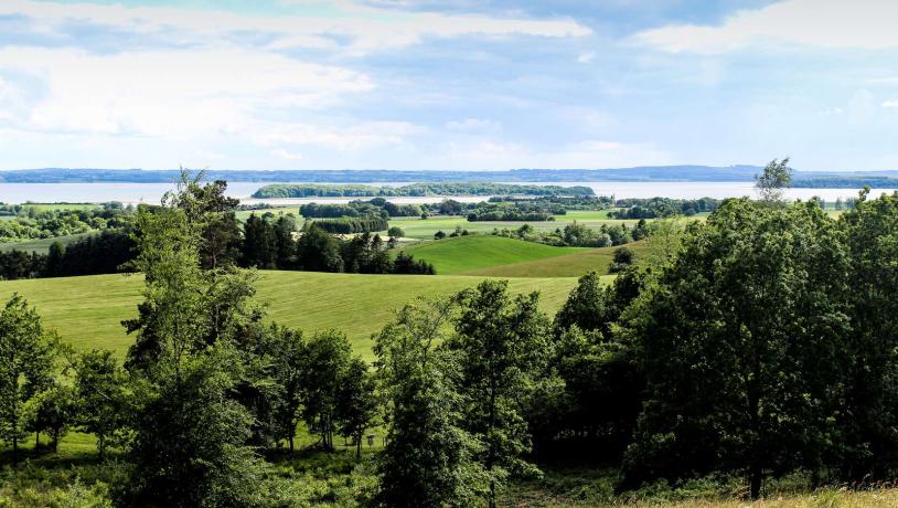 Udsigt over Horsens Fjord