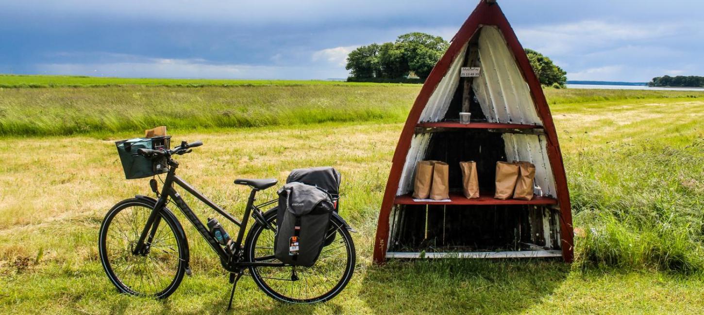 Cykel og vejbod ved Horsens Fjord