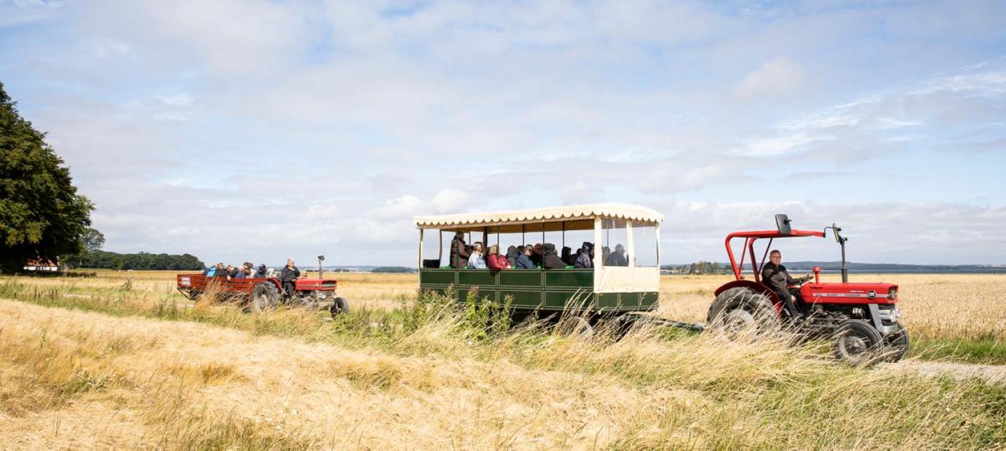 Rød traktor guidet tur på Hjarnø