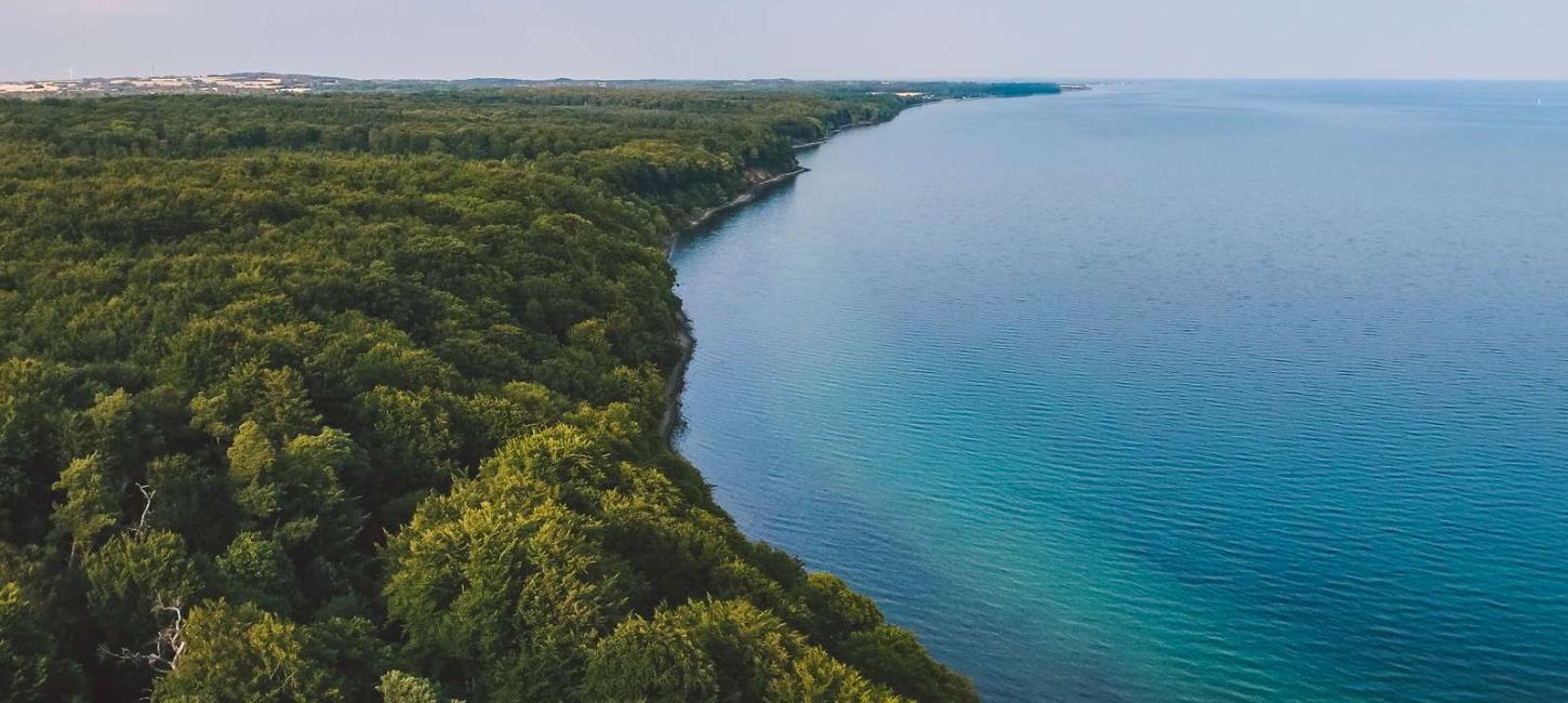 Kystlinjen ved Stenhøj Strand og Staksrode Skov på nordsiden af Vejle Fjord i Destination Kystlandet