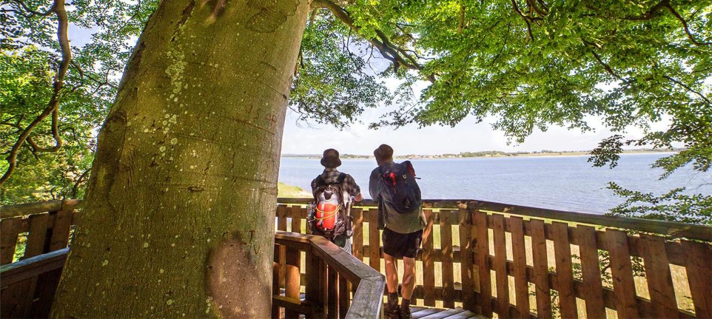 To mænd nyder udsigten over Horsens Fjord i udsigtstårnet ved Kyststien