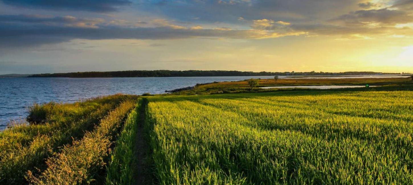 Solnedgang på mark ved Hjarnø