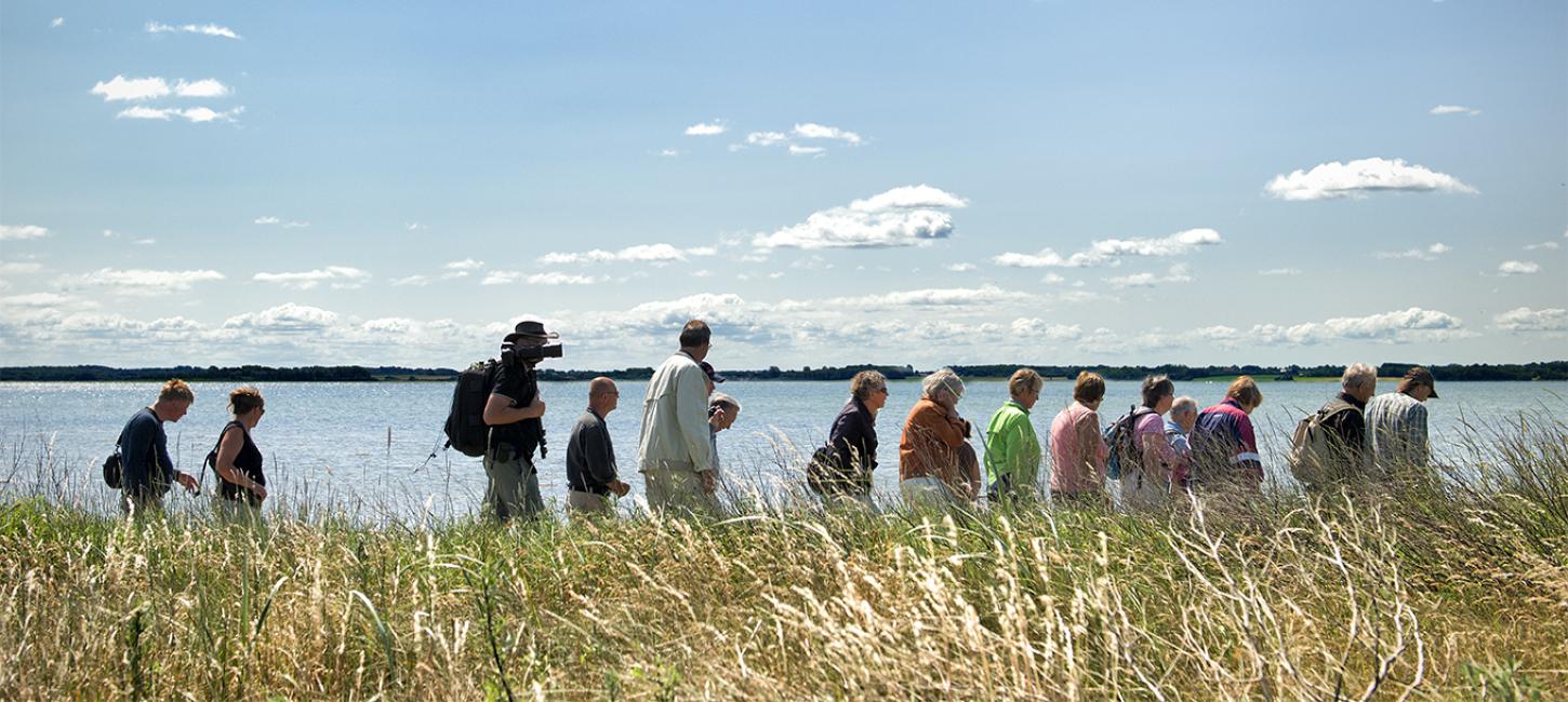 En større gruppe går tur ved Horsens Fjord