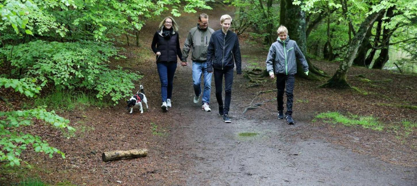 Familie går tur med hund i skoven