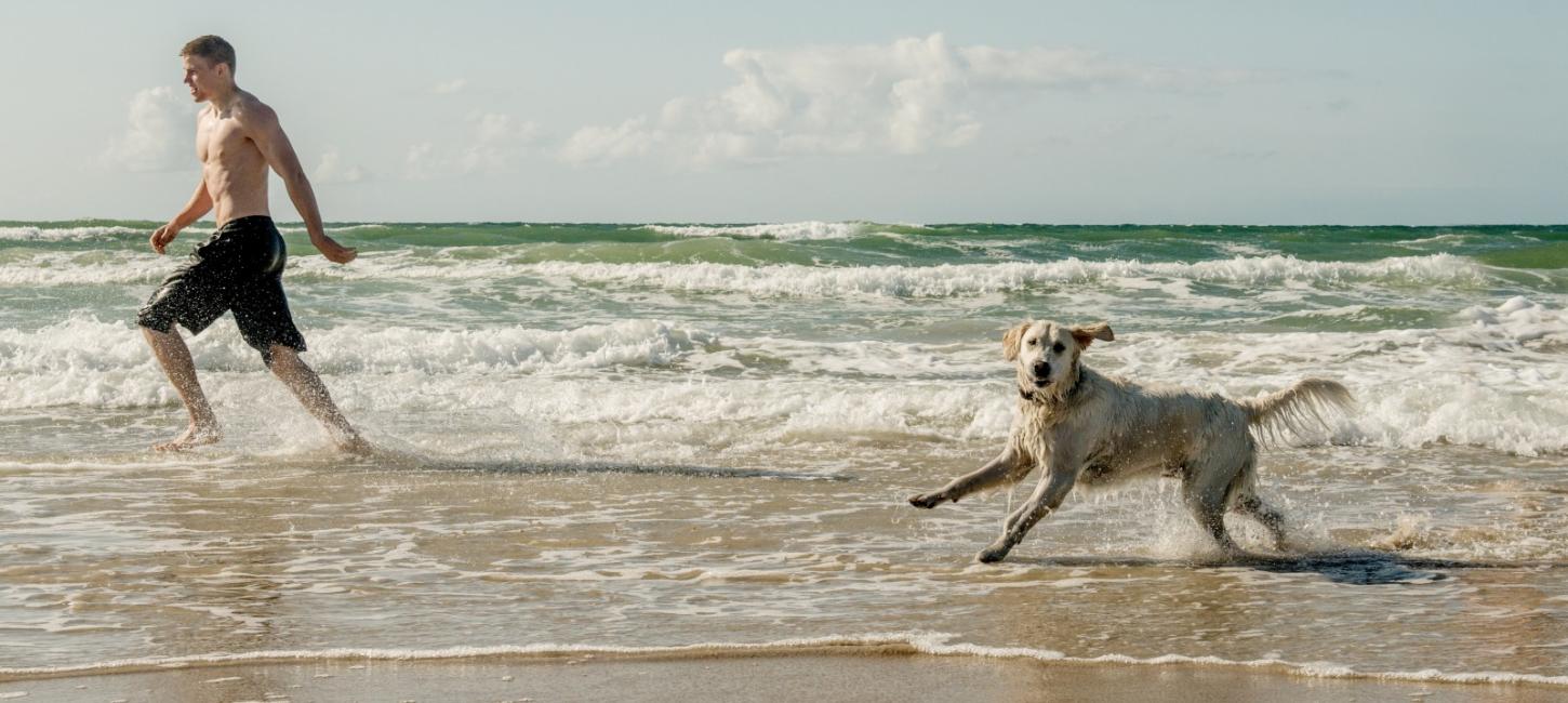 Mand i badeshorts i vandkanten med lys labradorhund