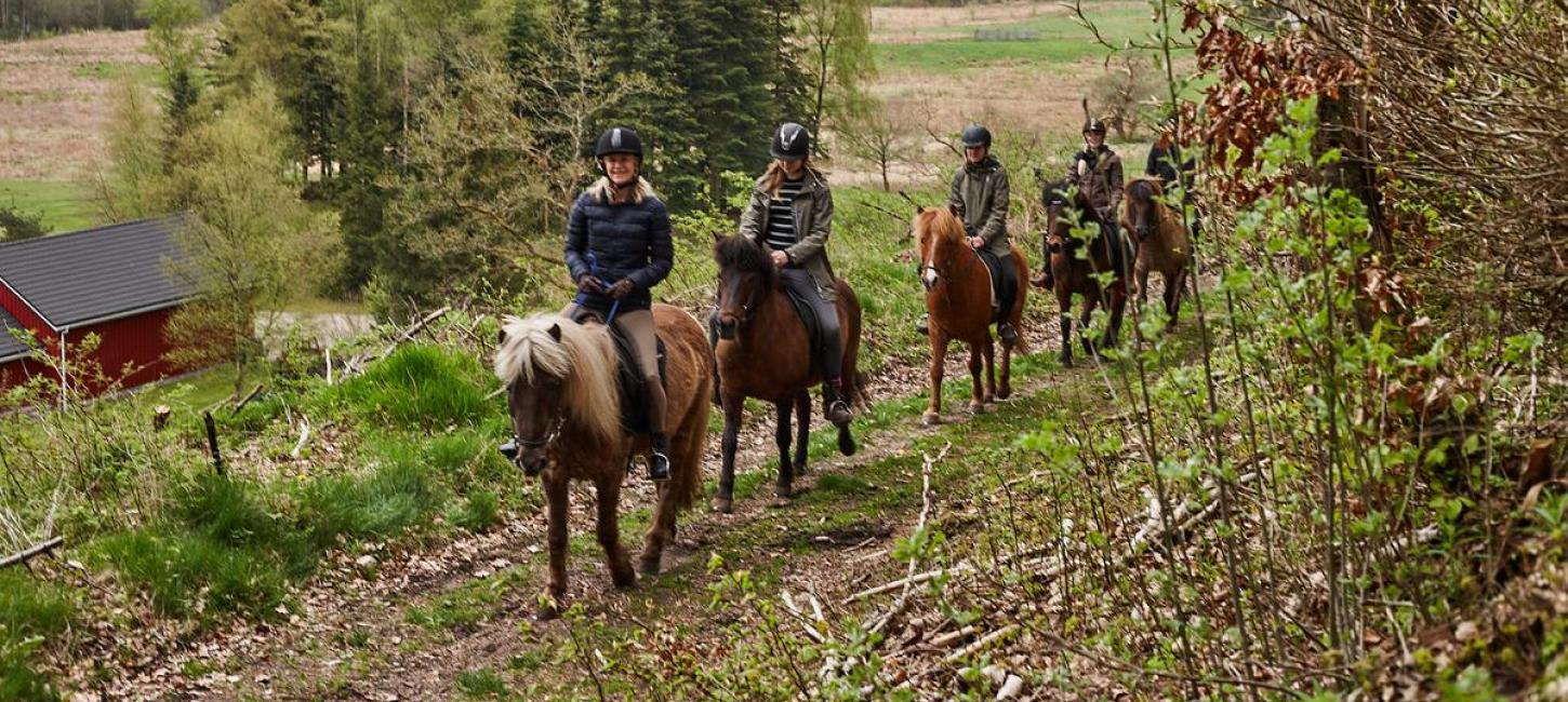 Guidede rideture på hesteryg for hele familien