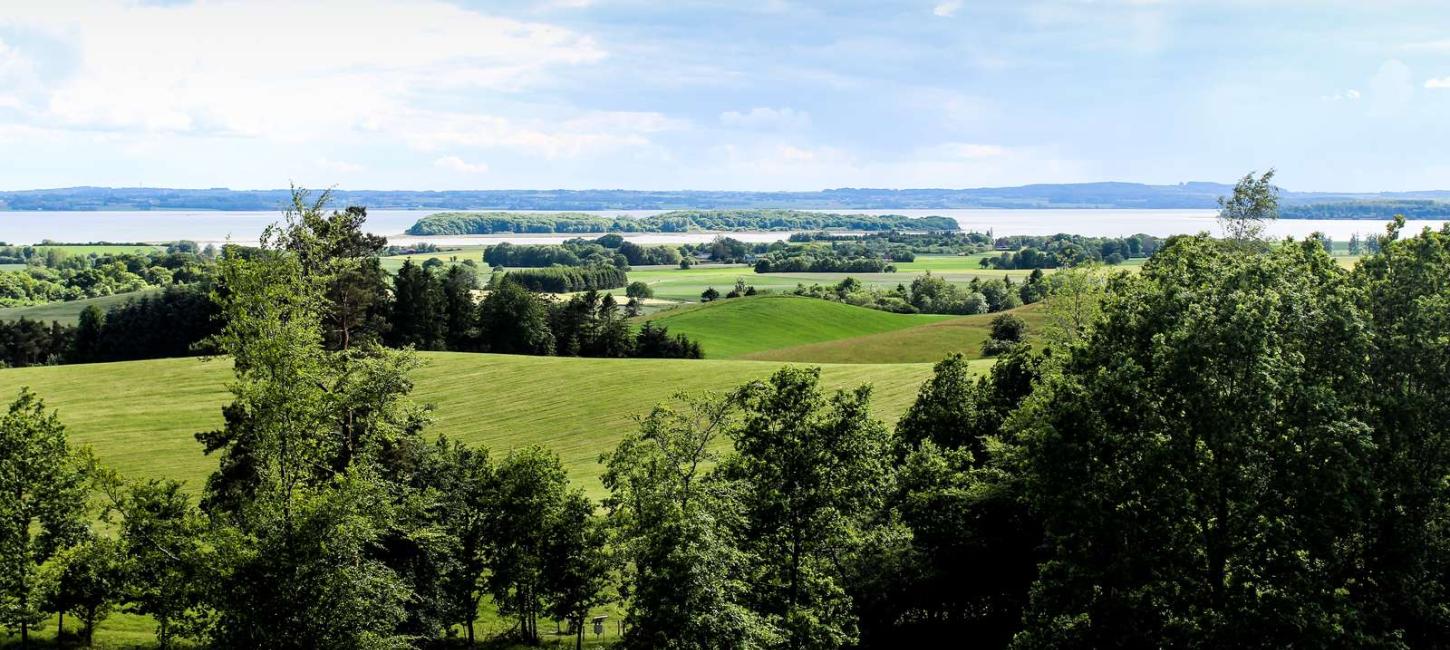 Udsigt over Horsens Fjord