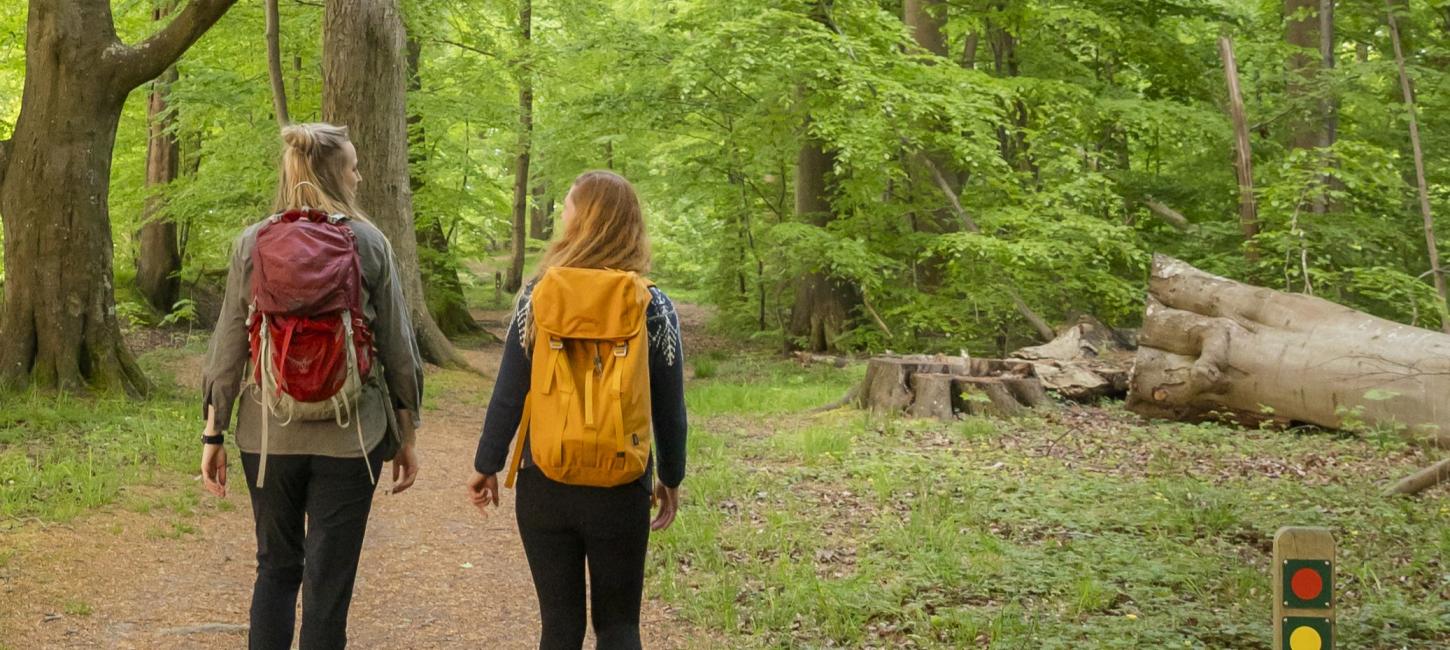 Zwei Frauen gehen durch einen Wald