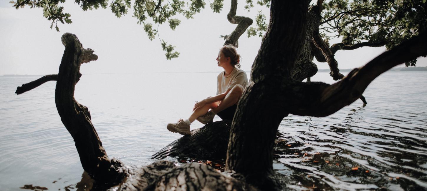 Woman sitting in a tree at Horsens Fjord in Denmark