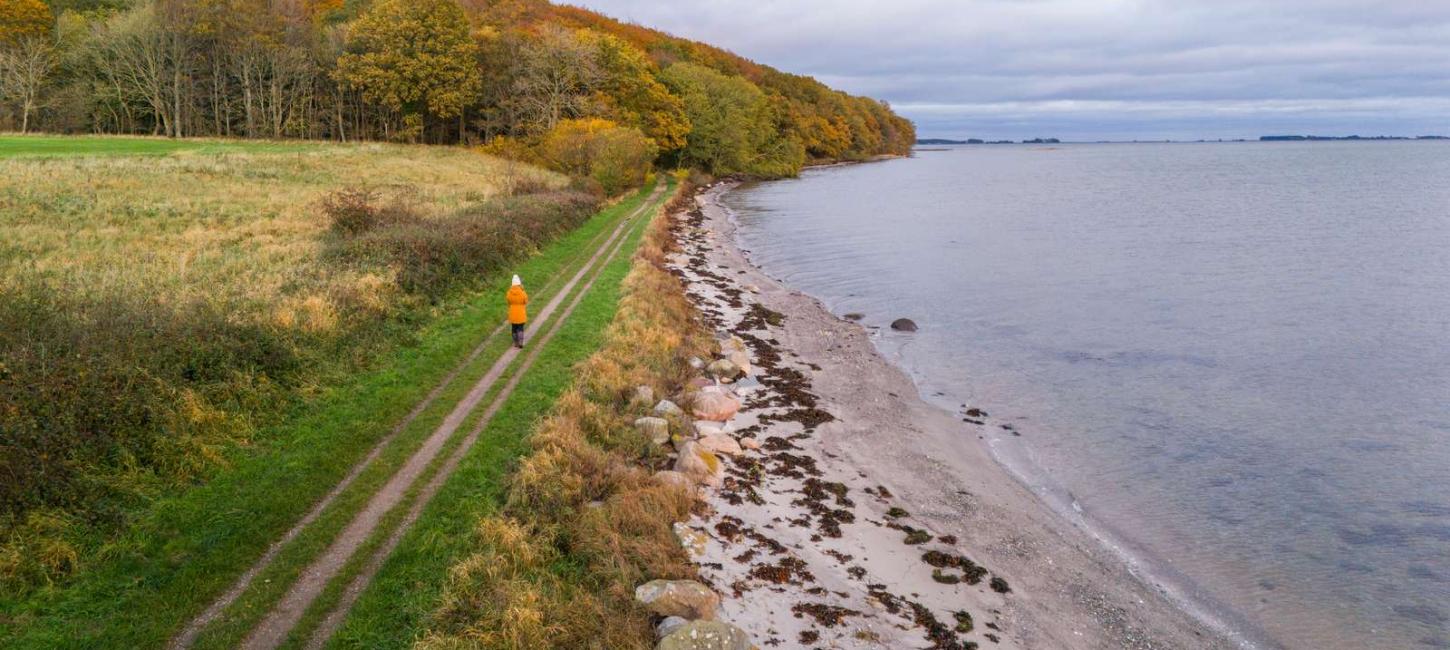 Efterår på Fjordminoen ved Husodde Strand