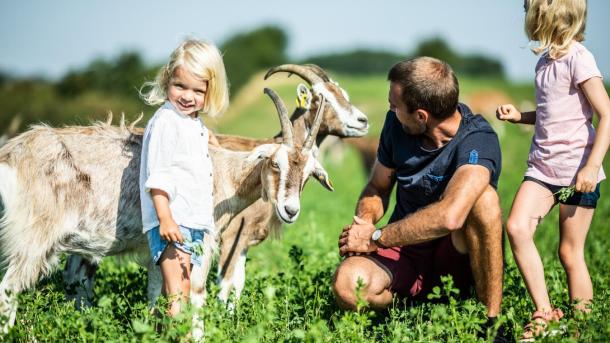 Far og børn hilser på geder hos Øko  Ged & Grønt