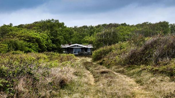 Sommerhus i den vilde natur