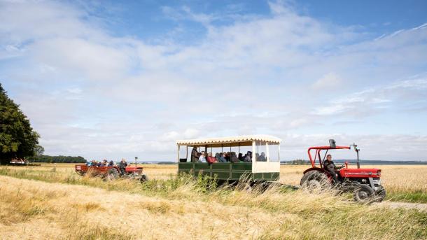 Rød traktor guidet tur på Hjarnø