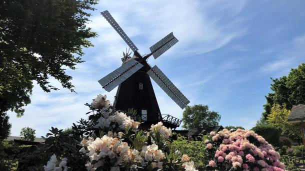 Uldum Mølle Museum ved Uldum Kær