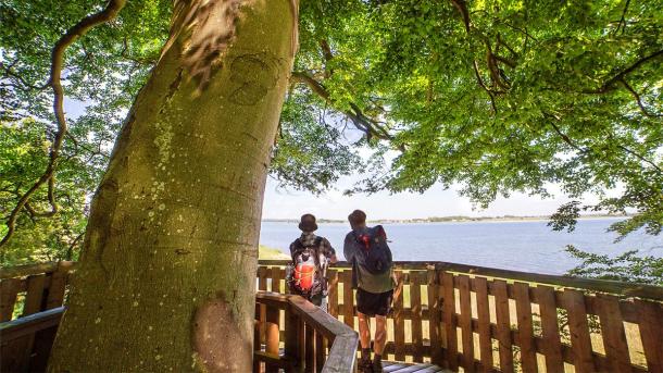 To mænd nyder udsigten over Horsens Fjord i udsigtstårnet ved Kyststien