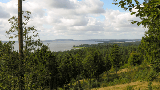 Udsigt over Horsens Fjord fra Blakshøj i Sondrup Bakker