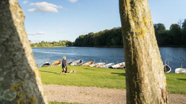 Kvinde går tur med sin hund ved Bygholm Sø