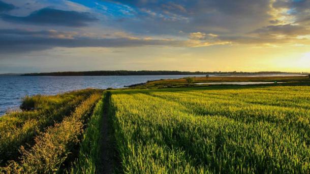 Solnedgang på mark ved Hjarnø