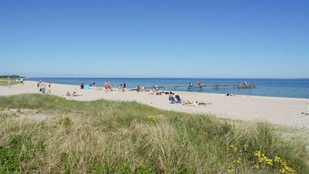 Strandgæster på Hou Strand