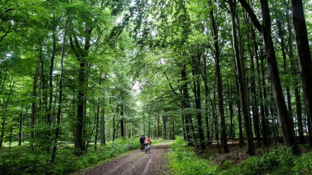 Par cykler på Banestien Odder-Horsens