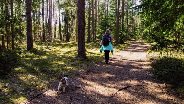 Kvinde går tur med hund i snor i en skov