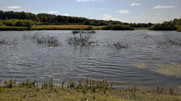 Torsted Engsø i Horsens