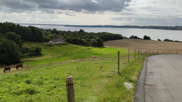 Udsigt over Vejle Fjord fra bakke nær Daugård Strand