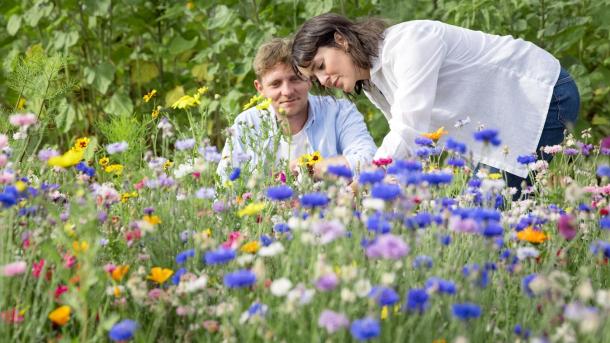 Par plukker blomster hos Frilandsblomster på Tunø - en del af Destination Kystlandet