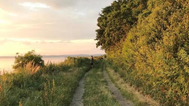 Mand på vandresti ved Borre Knob ved Horsens Fjord
