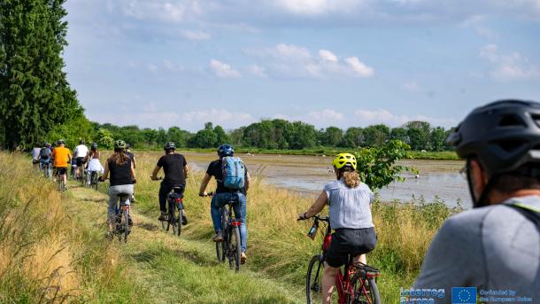 People cycling in a group along a pathway in a ricefield