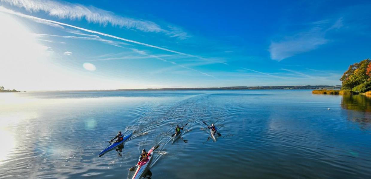 Kajakroer i Horsens Fjord