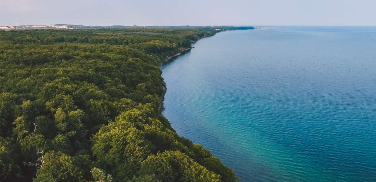 Kystlinjen ved Stenhøj Strand og Staksrode Skov på nordsiden af Vejle Fjord i Destination Kystlandet