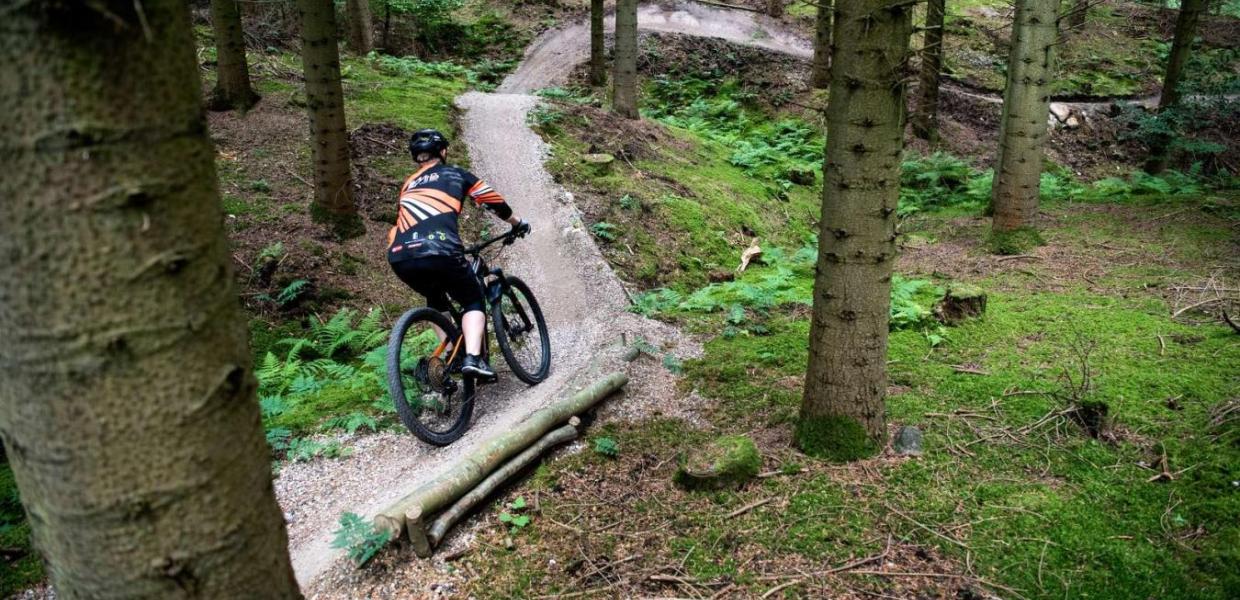 Mand kører mountainbike på sporet i Bjerre Skov