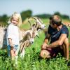 Far og børn hilser på geder på mark