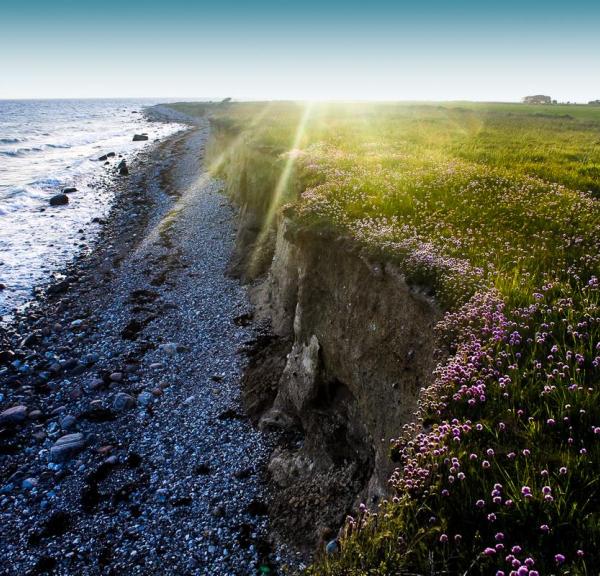 Stranden ved Endelave