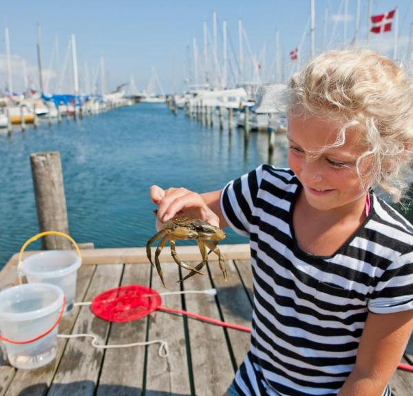 Pige fanger krabber på havnen i Juelsminde