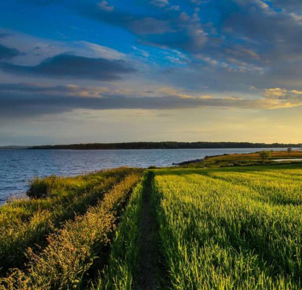 Solnedgang på mark ved Hjarnø