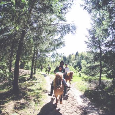 Fuglsang Rideture