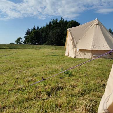 Glamping telte hos Holmely