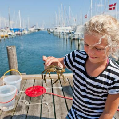 Pige fanger krabber på havnen i Juelsminde