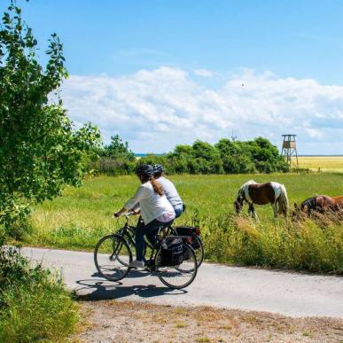 To der cykler ud af en sti på Endelave