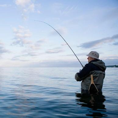 Lystfisker fisker fra kysten i Destination Kystlandet